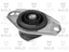 Picture of 156 ORTA MOTOR KULAK